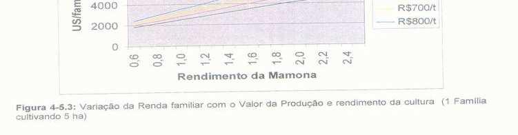 TAMANHO IDEAL : 8 Ha CASO DA MAMONA NO NORDESTE DO BRASIL.