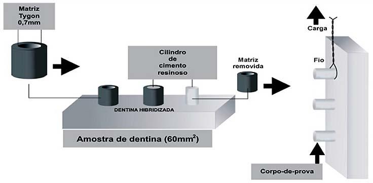 42 Garcia et al. Avaliação da resistência de união de dois sistemas adesivos autocondicionantes Revisão de literatura e aplicação do ensaio de microcisalhamento dentina.