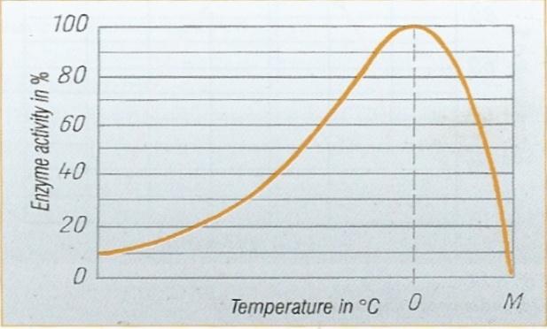 Figura 2 - Atividade enzimática em relação ao ph Fonte: Kunze (2014) A atividade das enzimas depende sobretudo da temperatura.