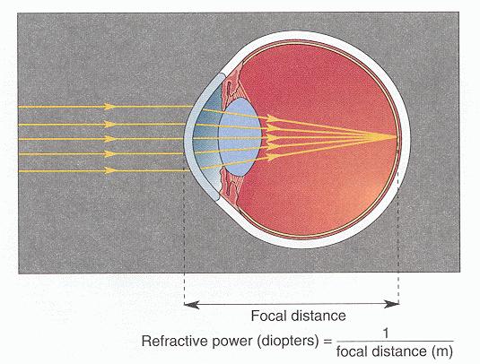 lente e as distâncias do objecto e da sua