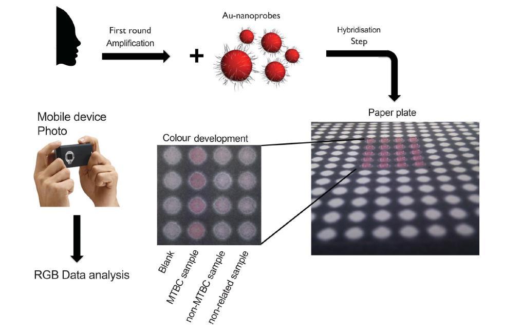 suportes de diagnóstico rápido ( nano tecnologia e diagnóstico em