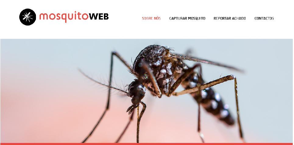 Doenças Transmitidas por Vetores Vigilância epidemiológica Uma plataforma web para a