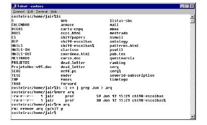 Figura 1.5 Exemplo de interface no estilo de linguagem de comando.