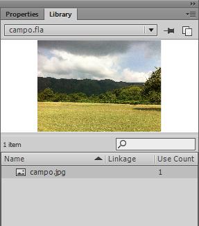 Properties Library campo.fla Biblioteca (Library) 1 item Name Linkage Use Count fotocampo.jpg 1 Imagem importada 6.