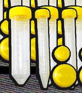 tubos para centrifugação dimensões tipo Falcon Utilizados em processos de biologia molecular. Na centrifugação de amostras e armazenamento.
