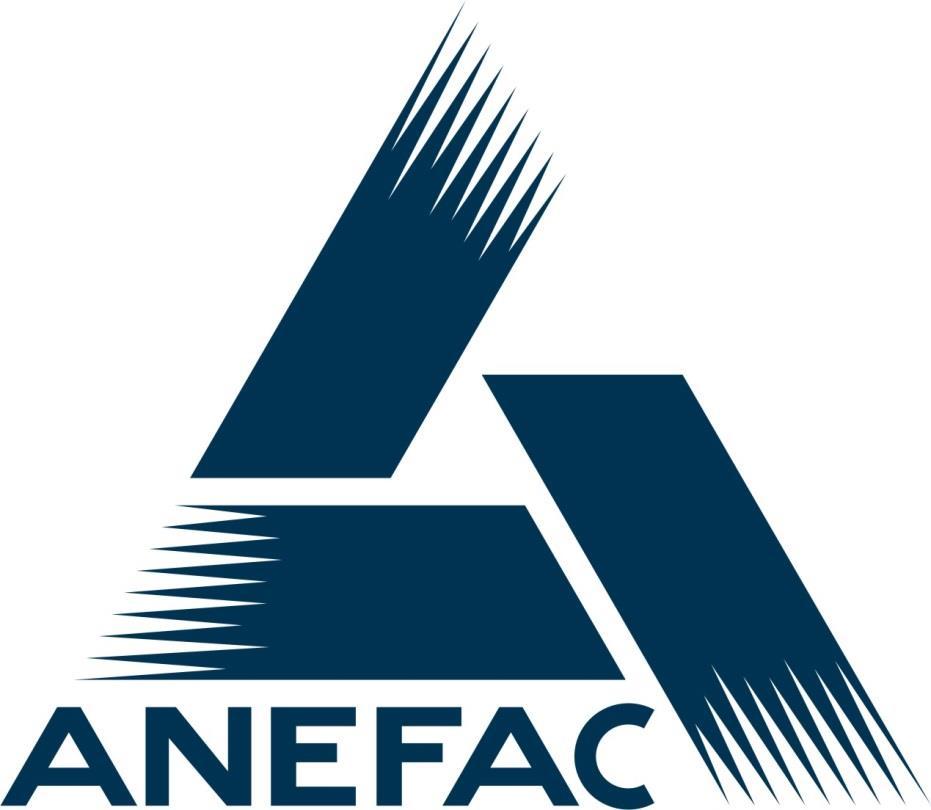 ANEFAC Grupo Técnico de Processos e Riscos Adoção à Abordagem de Auto Avaliação de
