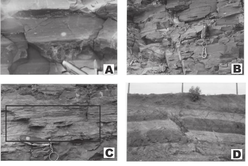 4.1 Geologia As características geológicas das minas estudadas estão representadas por seções colunares (Figura 3).