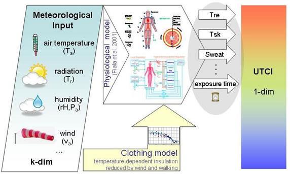 Plano de Contingência Regional Temperaturas Extremas Adversas - Módulo de Inverno Índice Térmico Universal (UTCI) Os estudos desenvolvidos no âmbito da Biometeorologia mostram alguns dos efeitos que