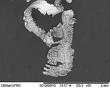 Na Fig. 3 é apresentado a morfologia irregular e qualitativamente o tamanho dos cavacos de aço ( 850 µm).