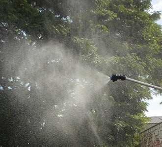 Contaminação Química Contaminação Biológica Pesticidas Produtos de