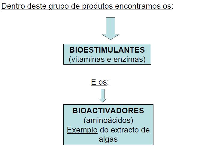 ANÁLISES