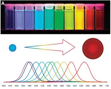 quantum dots for bioimaging,