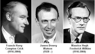 4.7. James D. Watson e Francis Crick, 1953.