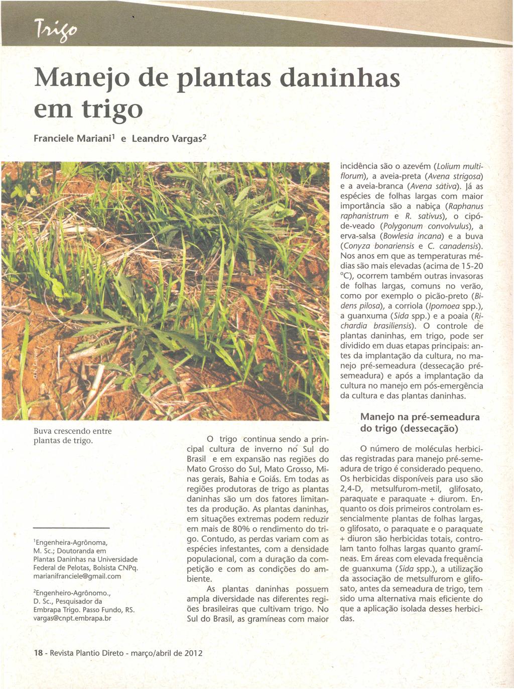 Manejo de plantas daninhas em trigo incidência são o azevém (Lolium multif1orum), a aveia-preta (Avena strigosa) e a aveia-branca (Avena sàtiva).