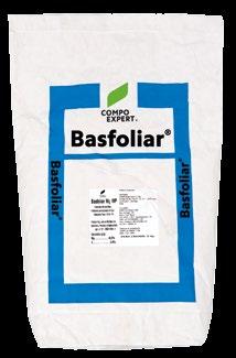 FERTILIZANTES LÍQUIDOS Mg WP Via Solo Basfoliar Mg WP é um fertilizante pó molhável com formulação específica para suprimento de Magnésio, de textura bem fina e com ótima dissolução em água.