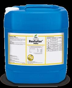 Milho Basfoliar Milho é um fertilizante líquido quelatizado com formulação concentrada e balanceada de nutrientes minerais, formulados especialmente para a cultura de Milho.