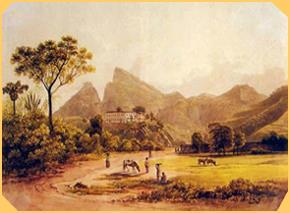 Artistas viajantes e cientistas O início do século XIX é marcado pela mudança da família real portuguesa e toda corte para o Rio.