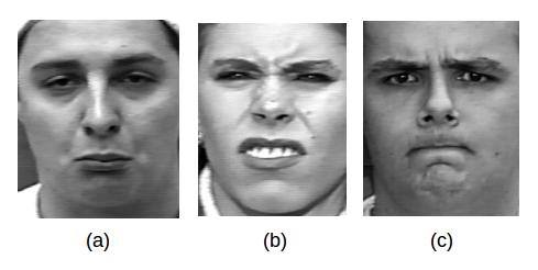 3. Metodologia Este capítulo descreve os procedimentos utilizados neste trabalho para metodologia da caracterização da expressão tristeza quando comparada a outras seis expressões faciais (Alegria,