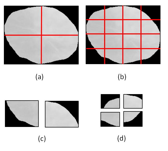 A quantidade de ROIs resultantes é dado por m x n. Neste trabalho, utilizamos a Cartesian Grid 3x3.