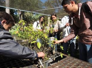 Esta ação contou com a orientação do Biólogo Thyago Sabino e do Engenheiro Ambiental Valdenir Souza.