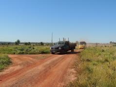 anos. Ilhas Verdes consiste no plantio adensado de mudas, pelo menos 3 a 7 unidades em cada coroamento, acrescentado de sementes de espécies nativas de diferentes estratos vegetais.