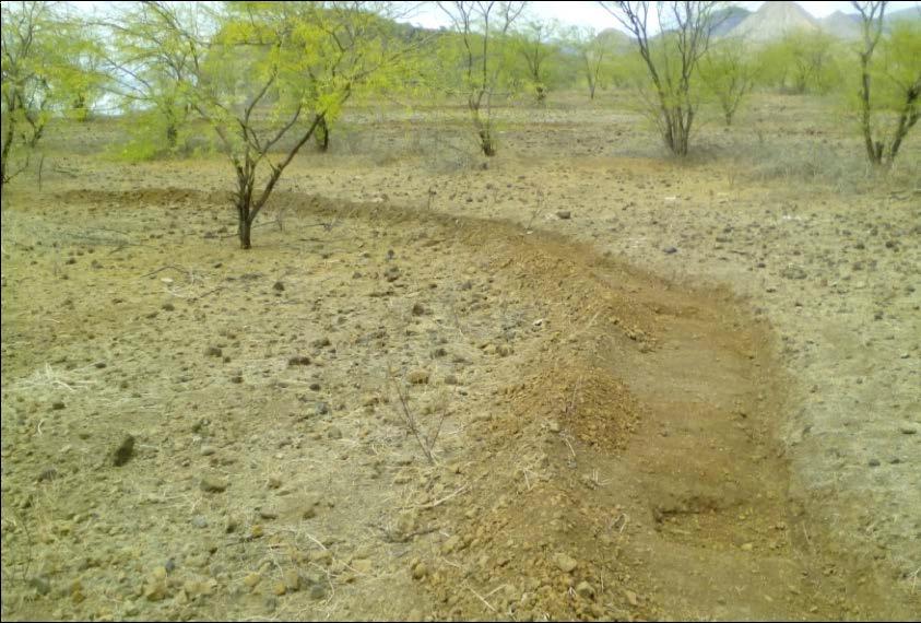 Cabo Verde Fraca cobertura vegetal do território nacional A