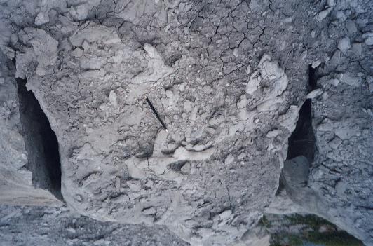 The outcrops of the Maria Farinha Formation are represented by intercalations of calcilutites and marlstones, with bioturbation