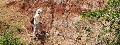 Aflora nas escarpas da borda da Chapada do Apodi, tem espessura entre 20 e 60 metros e as suas ocorrências em superfície não são mapeáveis na escala de 1:100.000 estabelecida neste projeto.