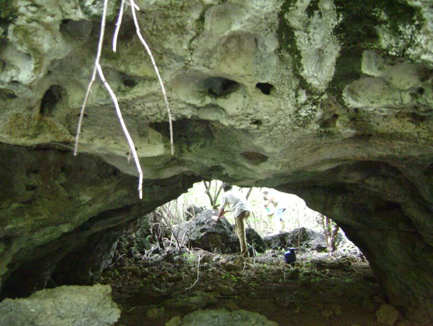 Foto 2.27 Galeria com abóboda em forma de arco na Caverna do Letreiro, localizada na Área de Reserva Legal, Baraúna RN (ANA-19; 662069, 9441784).