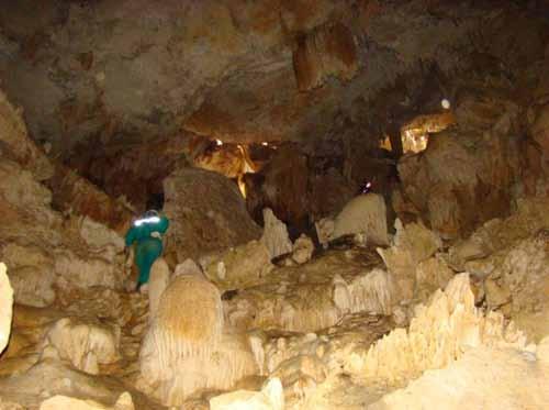 Foto 2.31 Espeleotemas no salão da caverna Furna Feia (ANA 01; 65975