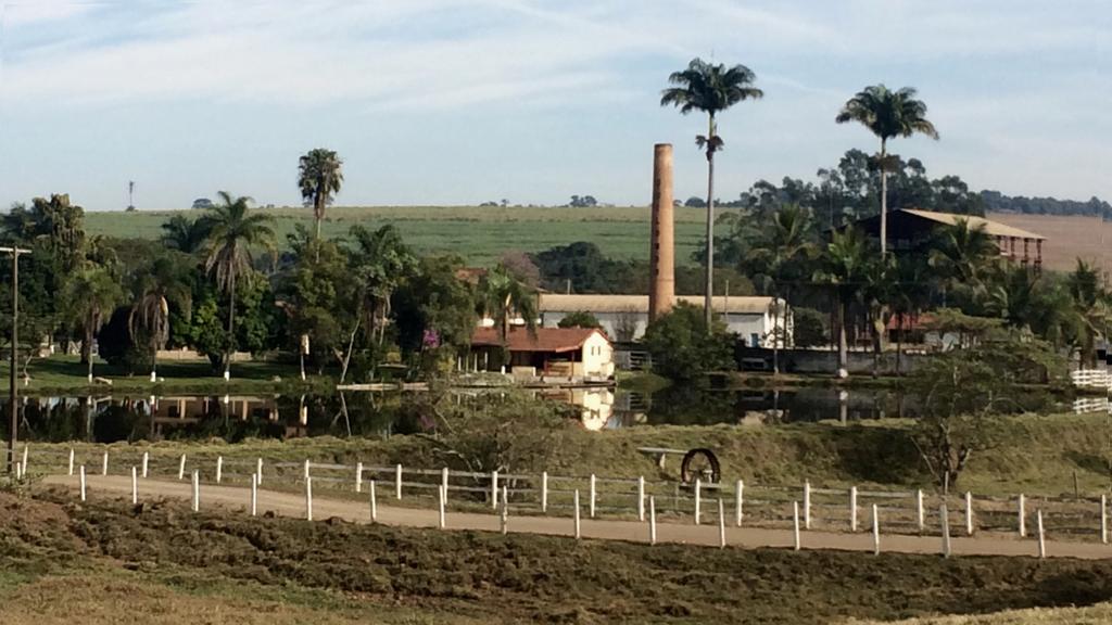 pelas fazendas de produção de flores ao sudoeste de Holambra,