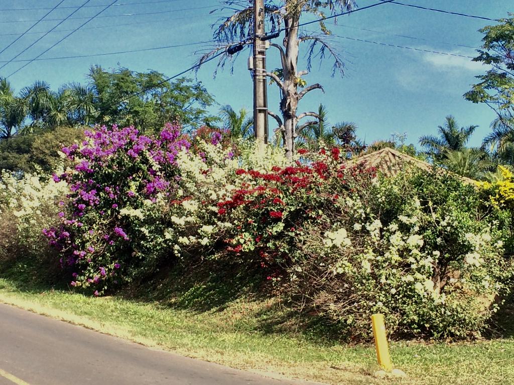 triunfal ao Moinho Povos Unidos, já na zona urbana de Holambra, com