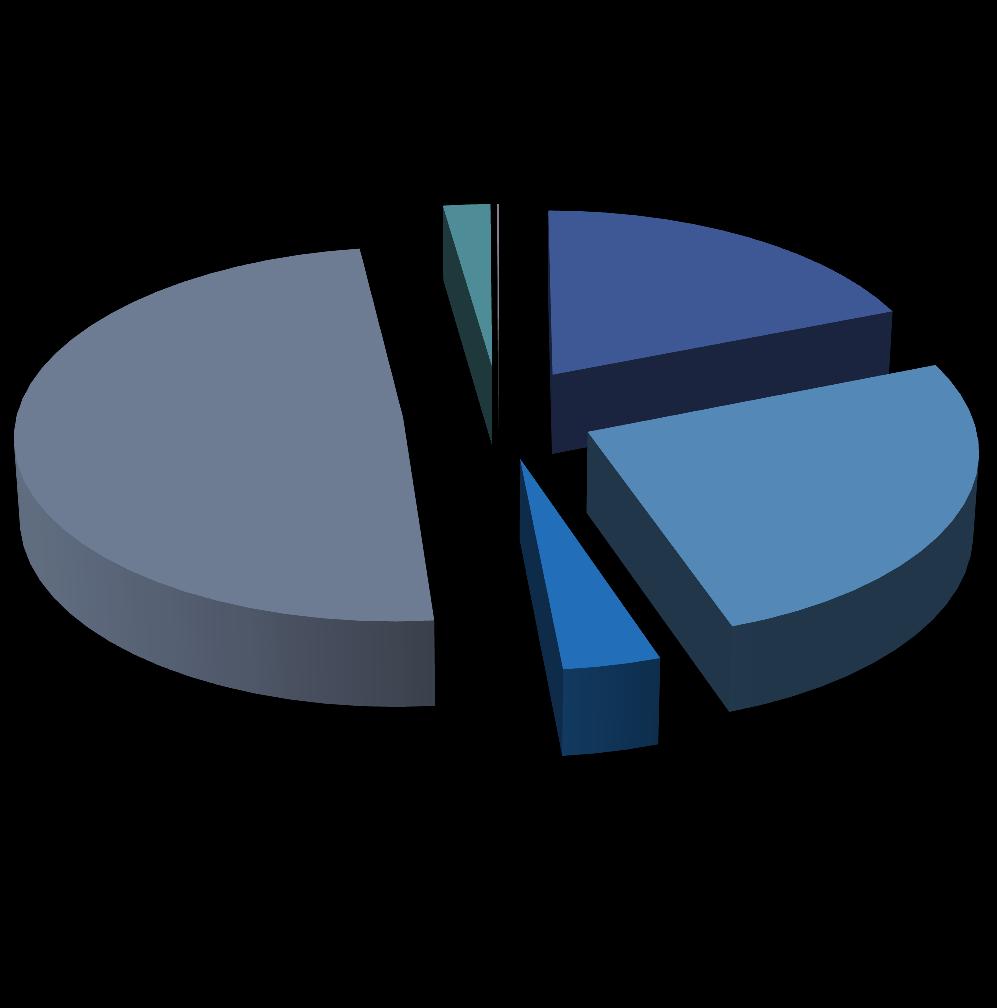 DIVISÃO DA CARGA TRIBUTÁRIA 0,10% RENDA 2,19% 19,02% FOLHA DE SALÁRIOS 49,22% 25,76%