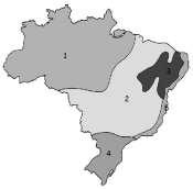 c) Que tipo de clima predomina no lugar onde você vive? JUSTIFIQUE. 11. NUMERE as lacunas, de acordo com os tipos de clima existentes no Brasil.
