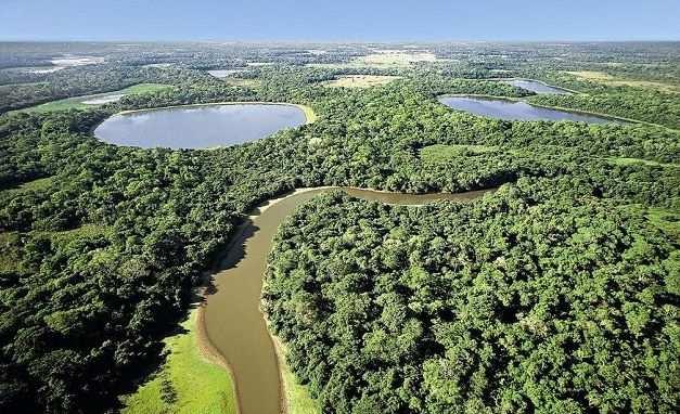 Pantanal este bioma está presente nos estados de Mato-Grosso e Mato-Grosso do Sul.