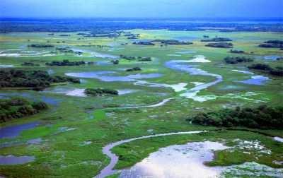 Apenas 4,6% do Pantanal encontram-se protegidos por unidades de conservação, dos quais