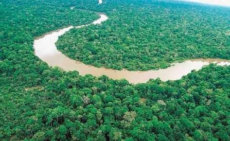 Floresta Amazônica é considerada a maior floresta tropical do mundo com uma rica biodiversidade. Está presente na região norte (Amazonas, Roraima, Acre, Rondônia, Amapá, Maranhão e Tocantins).