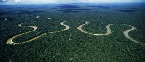 Os números são igualmente monumentais. A Amazônia é o maior bioma do Brasil, crescem 2.