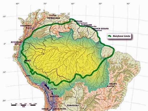A bacia amazônica é a maior bacia hidrográfica do mundo: cobre cerca de 6 milhões de km2 e e tem 1.100 afluentes.