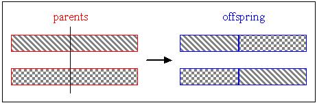 Funcionamento dos AG - Cruzamento Cruzamento: Dado 2 indivíduos, eles são cortados aleatoriamente em uma posição física, produzindo 2 segmentos.