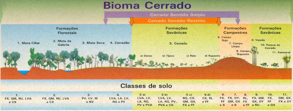 Definições Bioma Cerrado Ribeiro e Walter (1998) 4 COUTINHO, L.M. 2002. O bioma cerrado. In Eugen Warming e o cerrado brasileiro: um século depois (A.L. Klein, org.). Ed. UNESP, São Paulo, p.77-91.