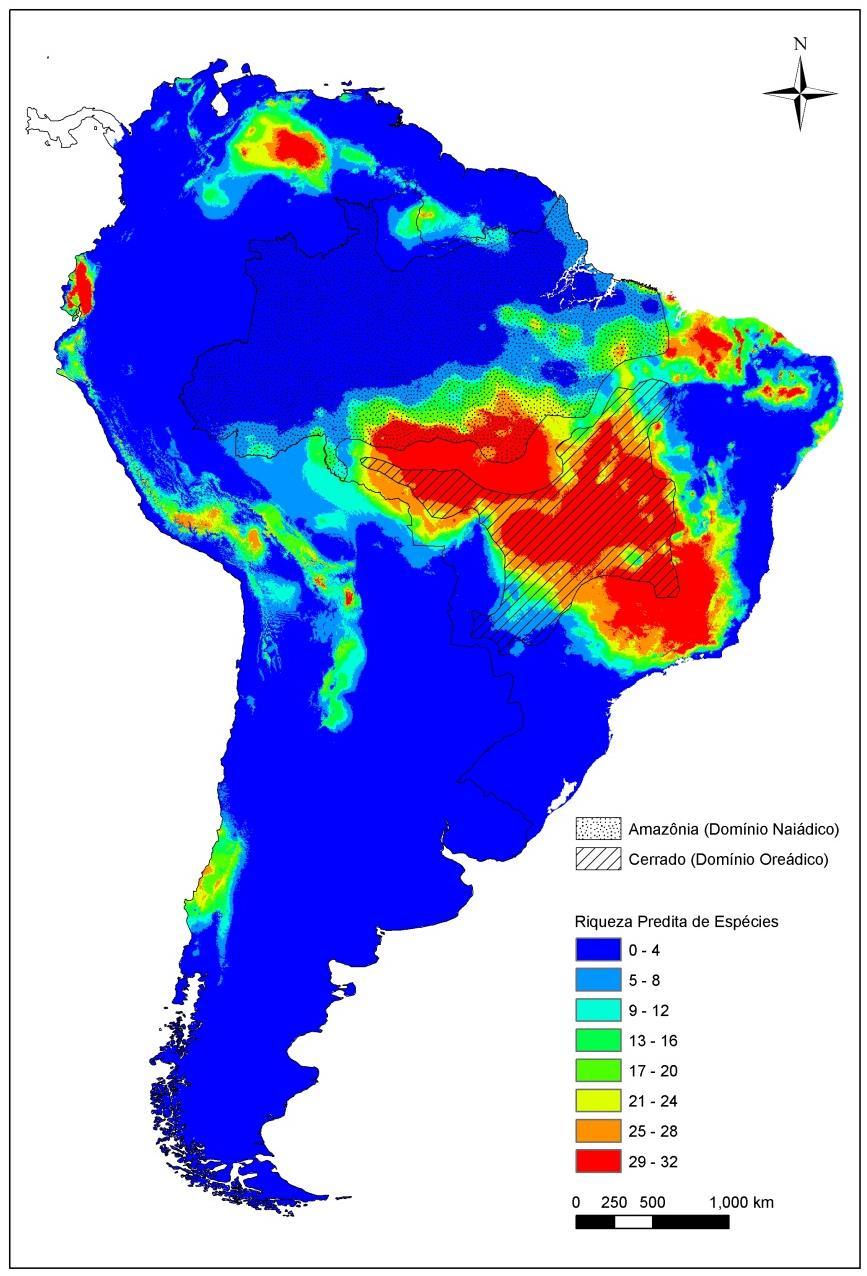 Até onde 32 espécies de árvores típicas do