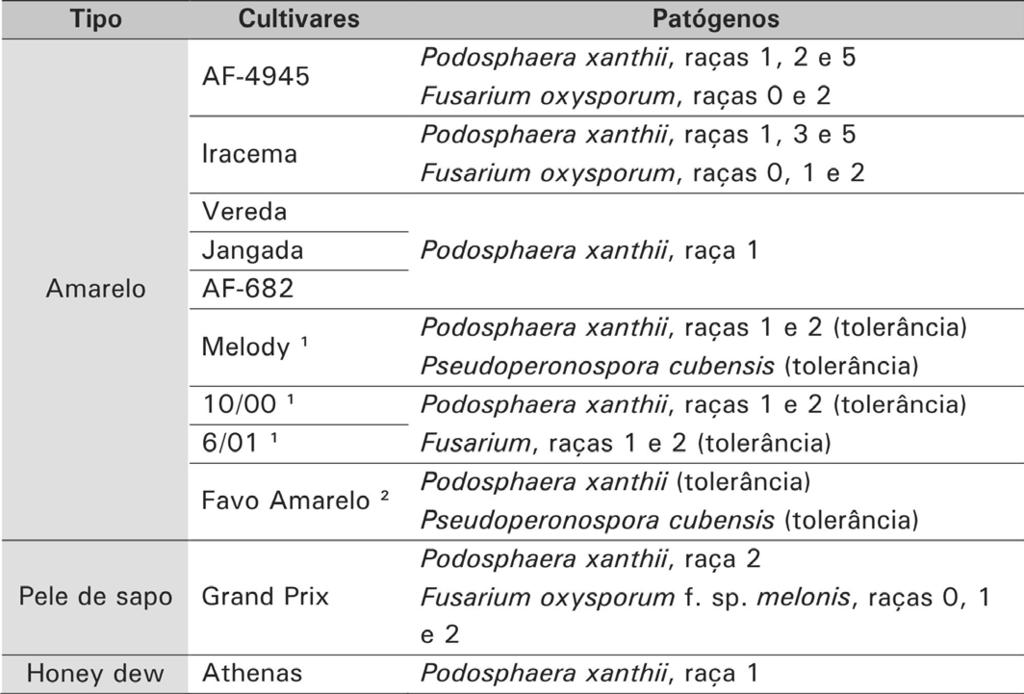 Identificação e manejo das principais doenças fúngicas do meloeiro 7 encharcamento, seguido de pequena área amarelada e, finalmente necrose, a partir do centro da mancha que geralmente fica perfurada.