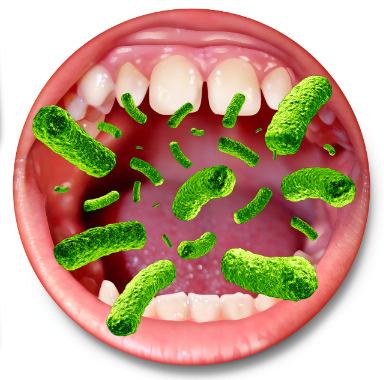 crescerem no trato gastrointestinal, irritarem a mucosa intestinal e invadir, por vezes, outros tecidos, causando problemas adicionais.