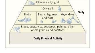 Food Pyramid Reflecting