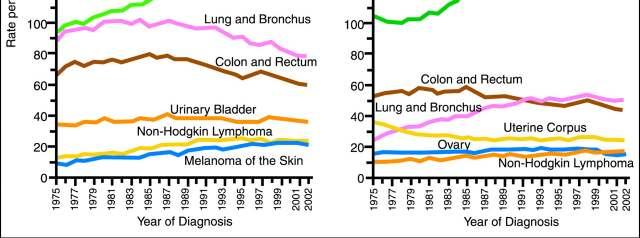 Cancro dados epidemiológicos From Jemal, A. et al.