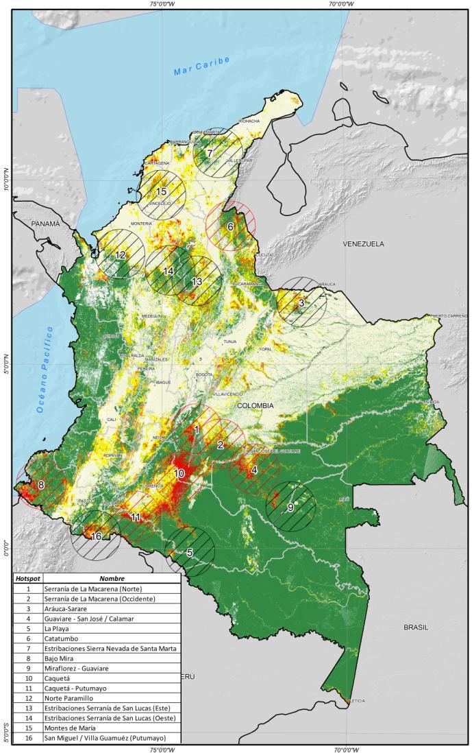 Problema Escala local - Colombia Hotspot desmatamento 1990-2010 Años 1990-2000 2000-2005 2005-2010 Bosques (ha) 64.442.268 61.811.221 60.213.