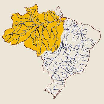 Maior bacia hidrográfica do mundo. Drena algo em torno da metade do território do Brasil. Maior potencial hidráulico/hidroelétrico.
