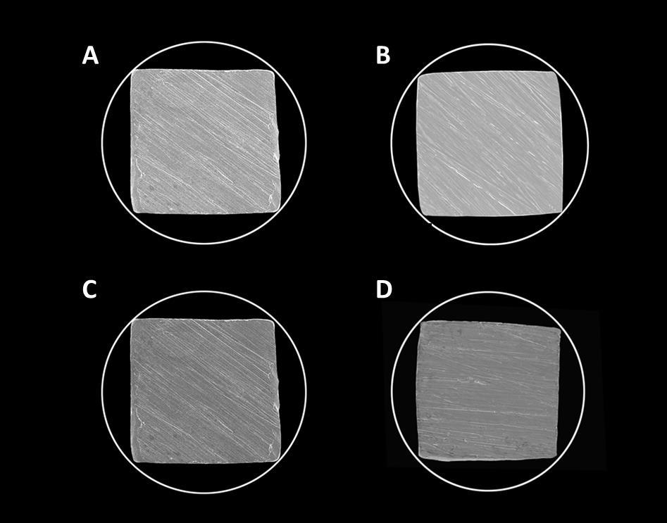 Figura 3 - Instrumentos C-Pilot (A), C+File (B), Scout Race (C) e PathFile (D) em seção reta transversal observados pala MEV. 6.2.