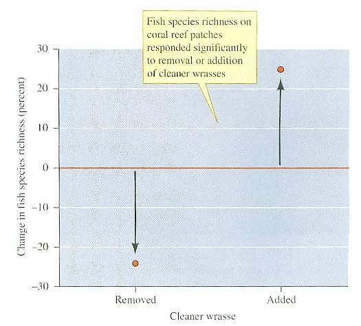 Mudança na riqueza de espécies de peixes (%) A diversidade de peixes é